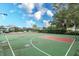 Community basketball court perfect for friendly games and exercise, adding to the neighborhood's recreational appeal at 8110 Princess Palm Ln, Kissimmee, FL 34747
