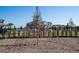 Community playground features a web climber, fostering active play and social interaction in a secure environment at 10038 Verse Aly, Winter Garden, FL 34787