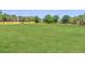 Vast backyard with verdant grass, mature trees, and a wooden fence in the distance at 1271 Thoroughbred Trl, Sanford, FL 32771