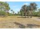 Sprawling backyard featuring mature trees, manicured landscaping, and a well-maintained lawn with a black fence line at 13124 Filly Ct, Windermere, FL 34786