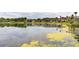 Picturesque lake view showcasing waterfront townhomes surrounded by mature trees and lush landscaping at 200 Maitland Ave # 224, Altamonte Springs, FL 32701