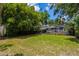 Lush backyard featuring mature bamboo, creating a private outdoor space at 2020 Palmer St, Orlando, FL 32803