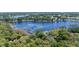 Expansive lake view from this property surrounded by lush greenery and mature trees at 203 E Greentree Ln, Lake Mary, FL 32746