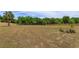 Expansive grassy backyard with a wooden fence surrounding the perimeter and lush trees at 36408 E Eldorado Lake Dr, Eustis, FL 32736