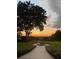 Well-manicured backyard with a fountain, lush landscaping and a picturesque sunset at 36408 E Eldorado Lake Dr, Eustis, FL 32736