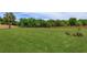 Expansive green lawn enclosed by a wooden fence, offering privacy and space for outdoor activities and recreation at 36408 E Eldorado Lake Dr, Eustis, FL 32736