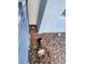 View of the exterior foundation with mulched landscaping at 4751 Clock Tower Dr # 103, Kissimmee, FL 34746