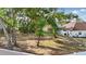 Large backyard featuring mature trees, providing shade and privacy, with a glimpse of the neighboring fence at 841 Oaks Shores Rd, Leesburg, FL 34748