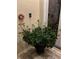 Close up of the front door area with a flower arrangement, doorbell, and patterned rug at 1121 Arbor Glen Cir, Winter Springs, FL 32708