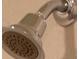 Close up of the silver bathroom shower head at 1286 Shoreside St, Clermont, FL 34714