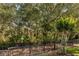 Private backyard surrounded by lush trees and fence at 30546 Lipizzan Ter, Mount Dora, FL 32757
