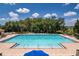 Community pool featuring a large in ground pool surrounded by trees and lounge chairs at 30546 Lipizzan Ter, Mount Dora, FL 32757