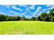 Expansive community lawn surrounded by lush greenery, offering a perfect space for recreation and relaxation at 921 Begonia Rd # 302, Celebration, FL 34747