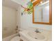 Bathroom featuring a tub and shower and vanity with a large decorative monkey mural at 12102 Sandal Creek Way, Orlando, FL 32824