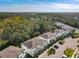Aerial view of community, showcasing the property's proximity to lush trees and nature at 17230 Blessing Dr, Clermont, FL 34714