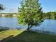 Scenic lake view from the property, enhanced by a beautiful mature tree and lush green grass at 1079 S Hiawassee Rd # 1121, Orlando, FL 32835