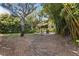 A backyard showing the patio area surrounded by trees and greenery at 14841 Faversham Cir, Orlando, FL 32826