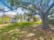 A large tree shades the green backyard, which features a storage shed and patio at 3120 Ginger Cir, Orlando, FL 32826