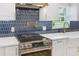 Close-up of a modern kitchen with a stylish range, countertop, and tile backsplash at 40 W Laurel St, Apopka, FL 32703