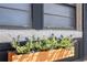 Exterior window box filled with plants and flowers beneath windows, showing a pop of curb appeal at 4015 Kirkland Blvd, Orlando, FL 32811