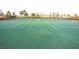 Bright green community tennis courts with fencing and landscaping at 4405 Acorn Ct, Davenport, FL 33837