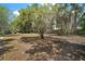 Expansive backyard featuring a mature tree with Spanish moss, providing ample shade and natural beauty at 819 Edgewater Dr, Eustis, FL 32726