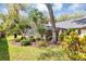 This lush green yard boasts mature trees, mature landscaping, and a screened in in-ground pool at 1039 Whispering Cv, Casselberry, FL 32707