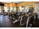 Well-equipped fitness center with treadmills, ellipticals, and weight machines for residents to stay active at 1120 Parma Cir, Lake Mary, FL 32746