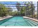 Backyard pool with a screened enclosure amidst lush tropical landscaping at 3001 Little Cypress Cv, Winter Park, FL 32792