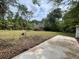 View of backyard area needing yard work at 31647 Mount Plymouth Loop, Sorrento, FL 32776