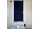 Entry with a classic solid door and clean, minimalist trim at 31647 Mount Plymouth Loop, Sorrento, FL 32776