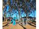 Community playground with shade trees, a slide, and climbing structures at 451 Shadow Gorge Way, Eustis, FL 32736