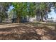 Expansive backyard offering plenty of space for recreation and relaxation, with mature trees at 821 E Lemon Ave, Eustis, FL 32726