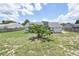 Wide shot of the spacious backyard with grass and a small shade tree at 119 Ridgecrest Dr, Eustis, FL 32726