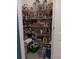 Walk-in pantry with wire shelving, stocked with various food items and household supplies at 3582 Forster Ave, Leesburg, FL 34748