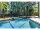 Sparkling pool and jacuzzi in a screened enclosure surrounded by lush landscaping at 4027 Lakeside Reserve Ct, Orlando, FL 32810