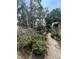 Overgrown backyard featuring a variety of plants, garden furniture, and a glimpse of the home's exterior at 7506 Mott Ave, Orlando, FL 32810