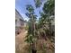 Backyard view showcasing the greenery, and ample outdoor space at 7506 Mott Ave, Orlando, FL 32810