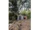 View of backyard with shed, ladder and grill at 7506 Mott Ave, Orlando, FL 32810