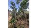 The backyard displays mature trees and space for outdoor enjoyment at 7506 Mott Ave, Orlando, FL 32810