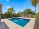 Relaxing backyard pool and spa surrounded by palm trees, perfect for enjoying the sunny outdoors at 960 Golden Bear Dr, Reunion, FL 34747