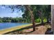 Scenic lake view with lush greenery and large mature shade trees lining the shoreline at 1071 S Hiawassee Rd # 1211, Orlando, FL 32835