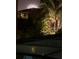Backyard featuring a palm tree, house with awning, and fireworks display at 11502 Waterstone Loop Dr, Windermere, FL 34786