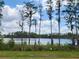 Beautiful lake view with tall trees and lush landscaping surrounding the water, under a partly cloudy sky at 16043 Pebble Bluff Loop, Winter Garden, FL 34787