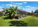Lush backyard featuring a screened-in porch and mature tropical foliage under a bright blue, cloud-filled sky at 1909 Donahue Dr, Ocoee, FL 34761