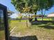 Spacious backyard featuring a young tree with yellow flowers, green grass, and mature trees at 2007 Peach Tree Blvd, St Cloud, FL 34769