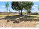 Large backyard with patchy grass and scattered mature trees. The view is of neighboring backyards at 2007 Peach Tree Blvd, St Cloud, FL 34769