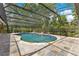 Backyard screened pool, encircled by mature trees and greenery, is the perfect private getaway at 2108 Silver Leaf Ct, Longwood, FL 32779