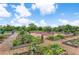 A thriving community garden with raised beds and abundant vegetation under a bright sky at 2707 E Marks St, Orlando, FL 32803