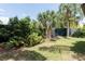 Lush backyard with palm trees and tropical foliage offering a private and serene outdoor space at 2711 Parkland Dr, Winter Park, FL 32789